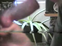 Clay is unable to survive without dogs.